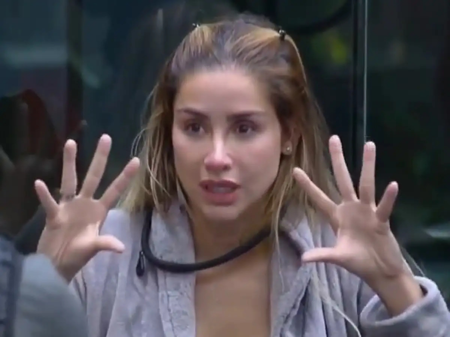 Imagem babi-afazenda16